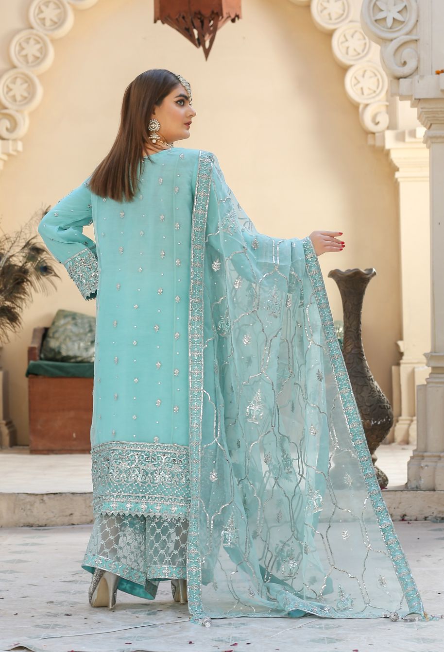 BM-3812 Women Organza